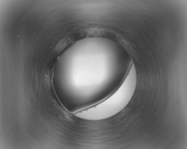 X0000062860333200601130954