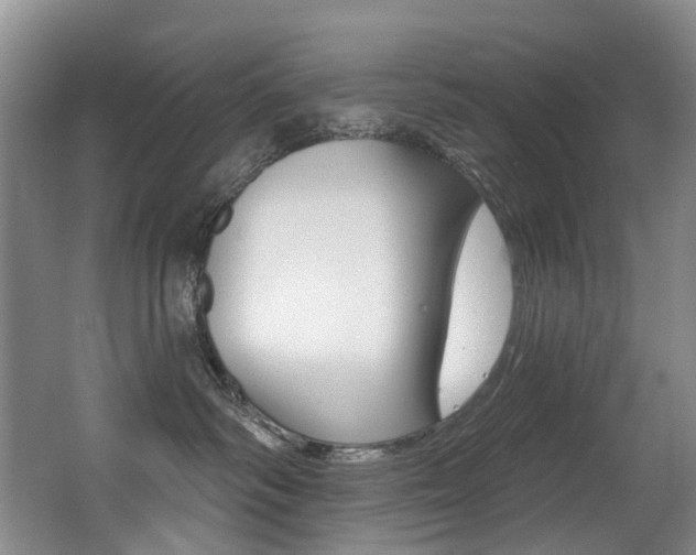 X0000062860334200601130954