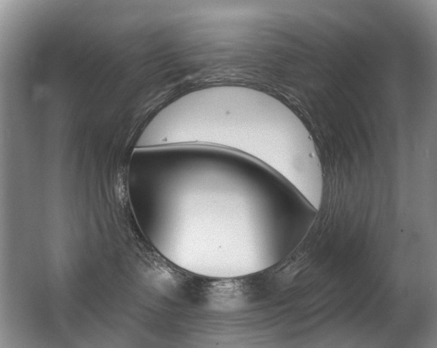 X0000062860335200601130954