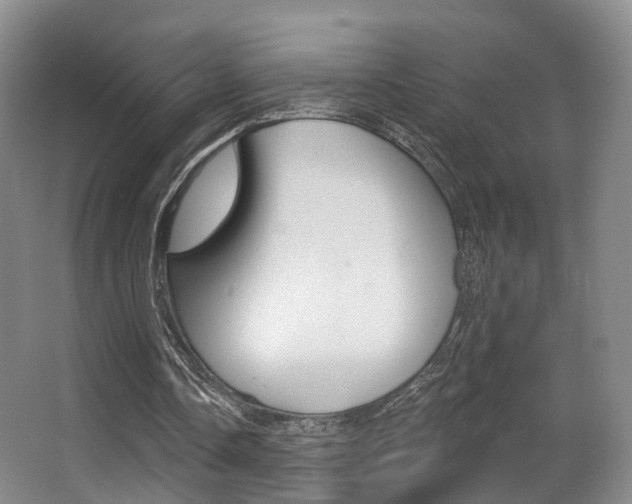 X0000062860338200601130953