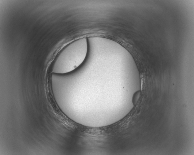 X0000062860339200601130953