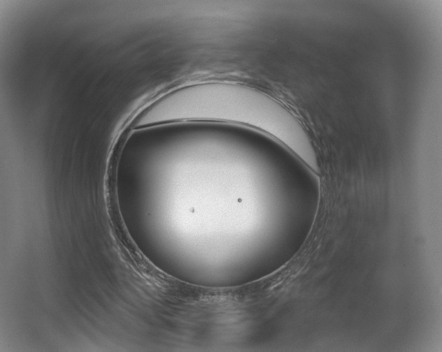 X0000062860340200601130953