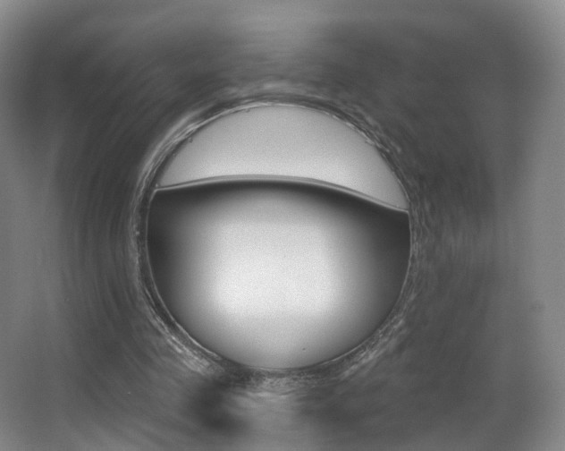X0000062860341200601130953