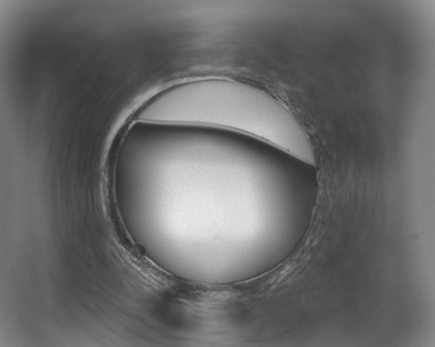 X0000062860342200601130953
