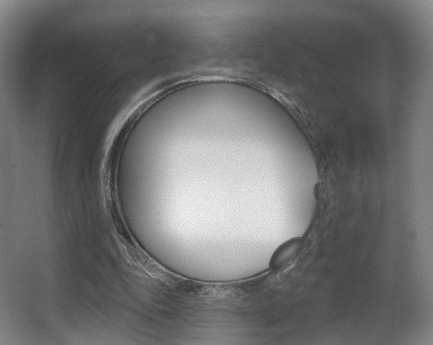 X0000062860343200601130953