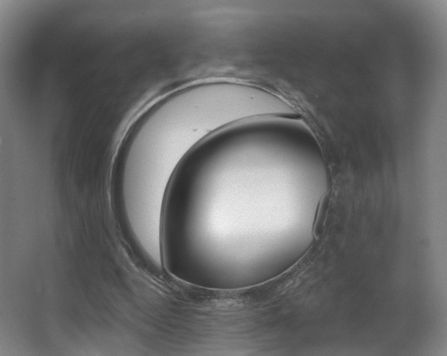X0000062860344200601130953