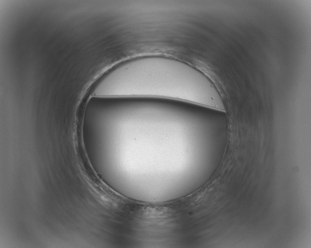 X0000062860346200601130954