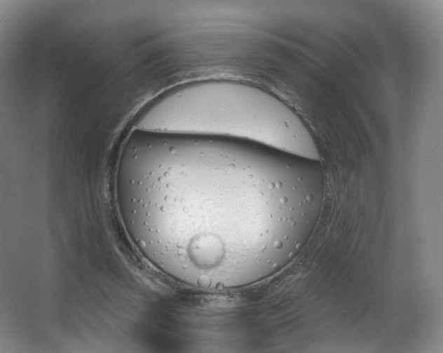 X0000062860347200601130954