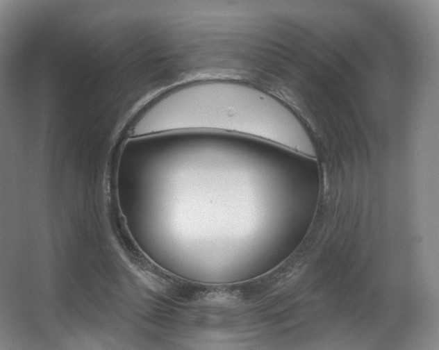 X0000062860348200601130954