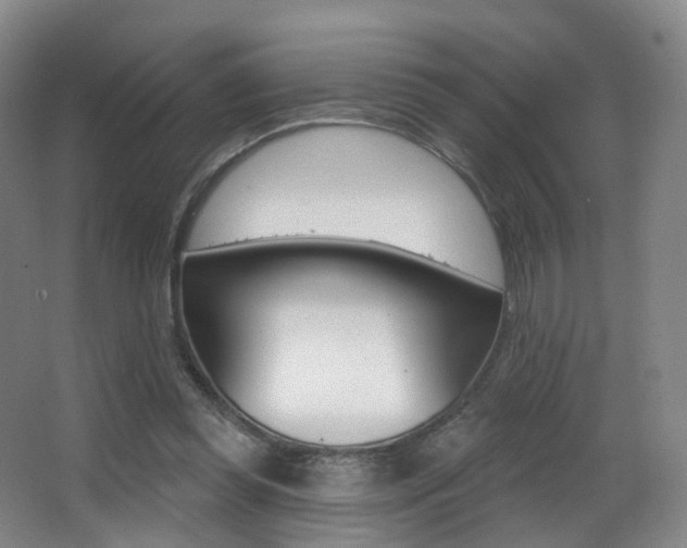 X0000062860349200601130954
