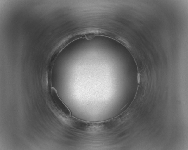 X0000062860350200601130954
