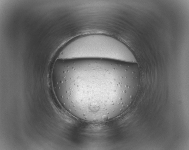 X0000062860351200601130954