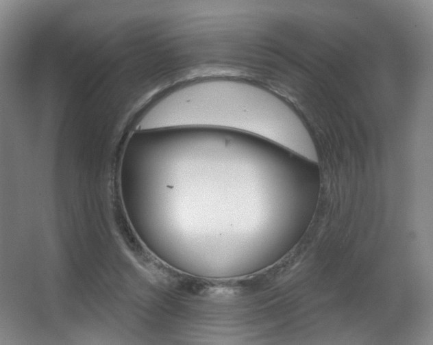 X0000062860352200601130954
