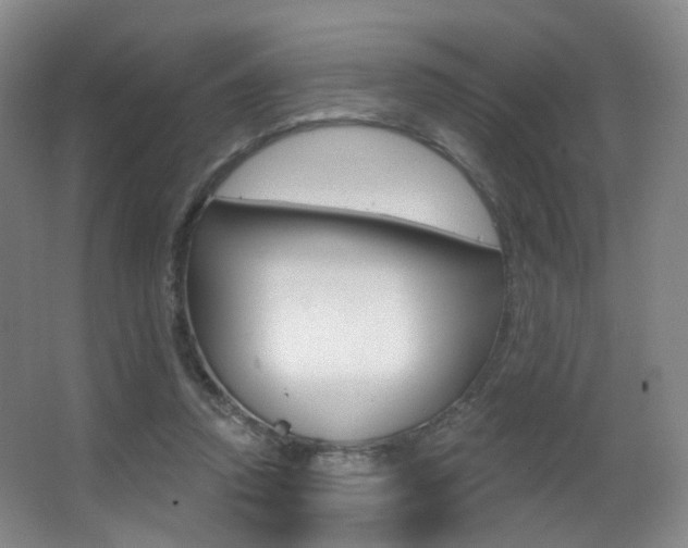 X0000062860354200601130954