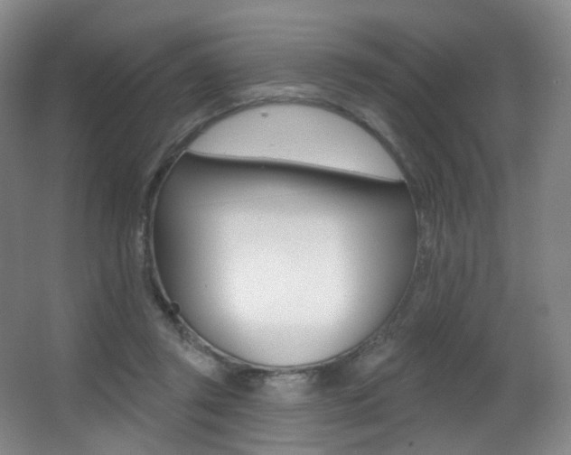 X0000062860357200601130954