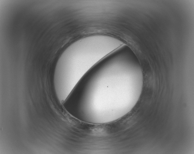 X0000062860358200601130954