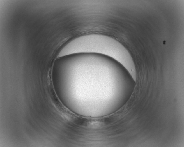 X0000062860360200601130954