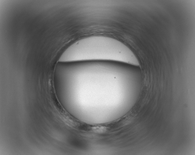 X0000062860363200601130954