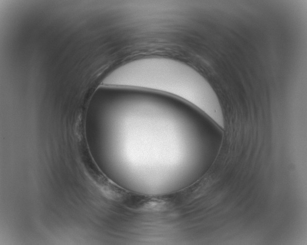 X0000062860364200601130954