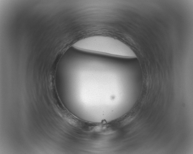 X0000062860366200601130954