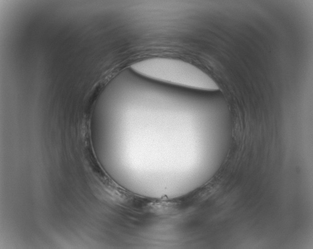 X0000062860367200601130954