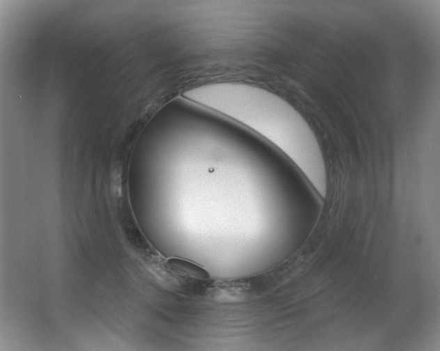 X0000062860368200601130954
