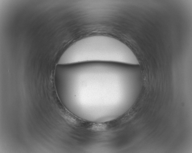 X0000062860369200601130954