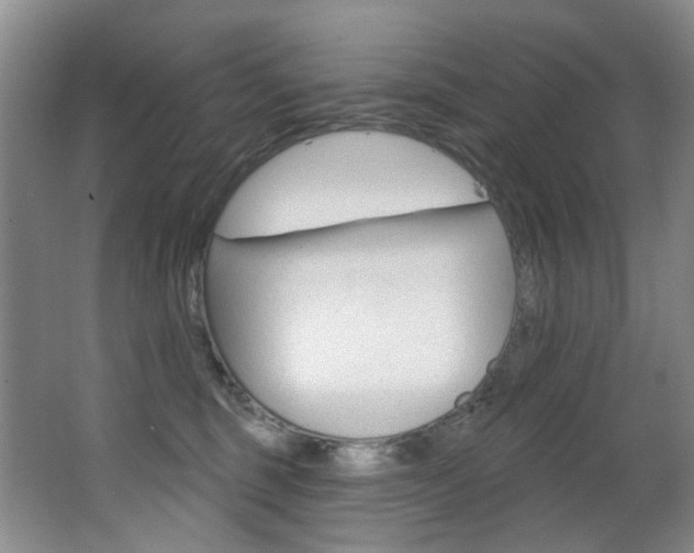 X0000062860375200601130954