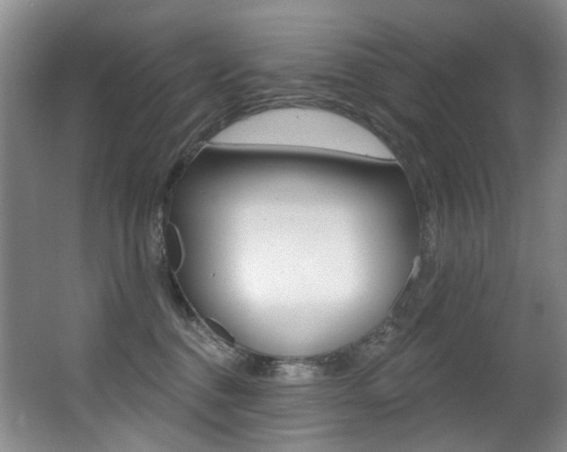 X0000062860376200601130954
