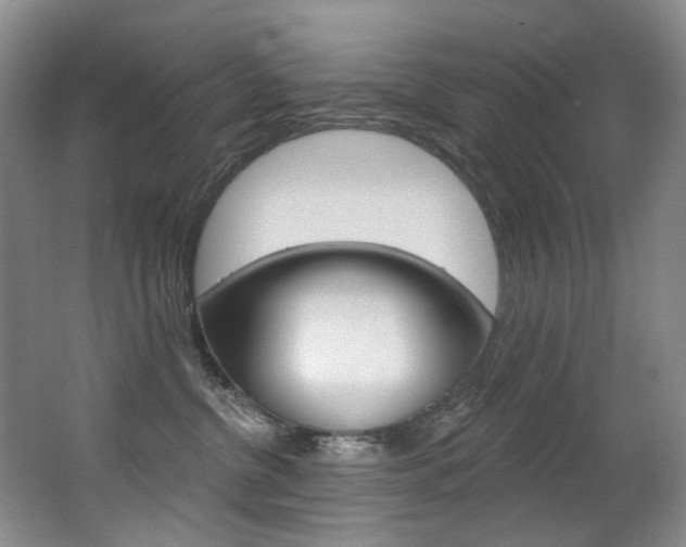X0000062860380200601130954