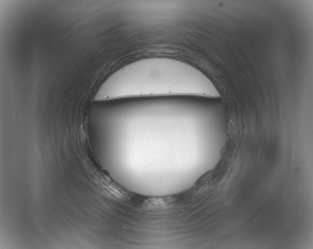 X0000062860381200601130954