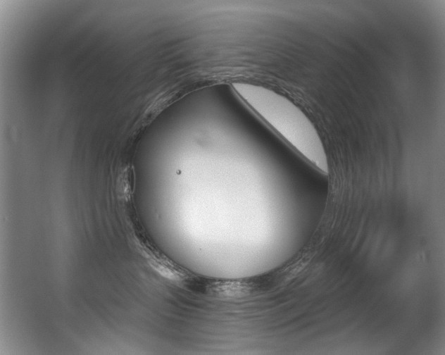 X0000062860383200601130954