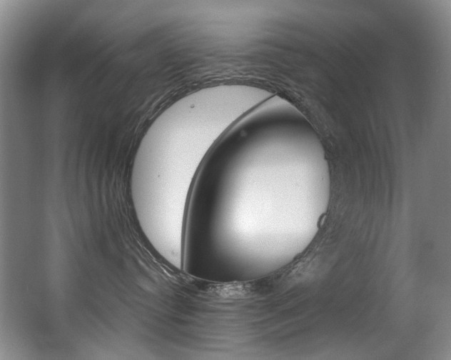 X0000062860384200601130954