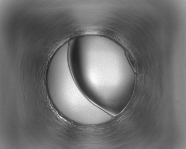 X0000062860385200601130953