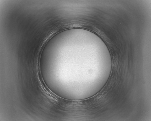 X0000062860386200601130953