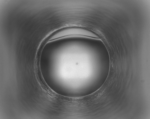 X0000062860388200601130953