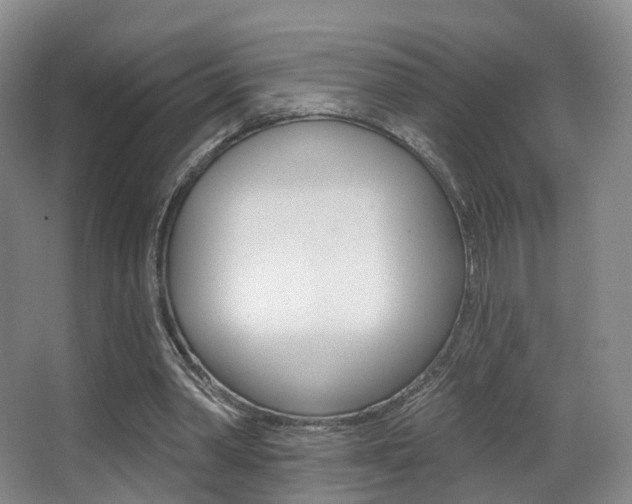 X0000062860390200601130953