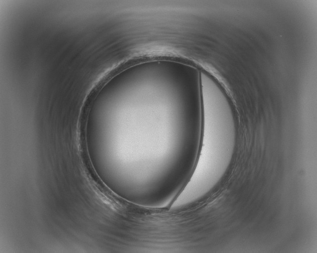 X0000062860391200601130953