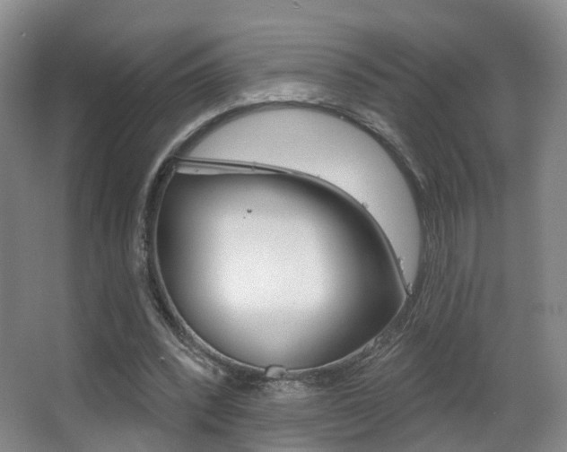 X0000062860392200601130953