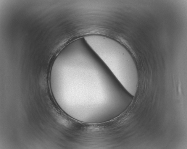 X0000062860394200601130953