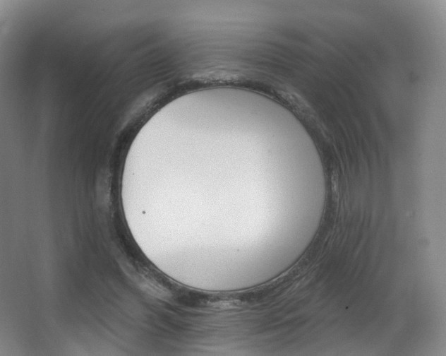 X0000062860396200601130953