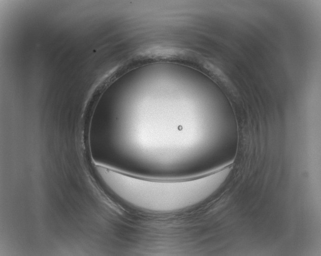 X0000062860399200601130953