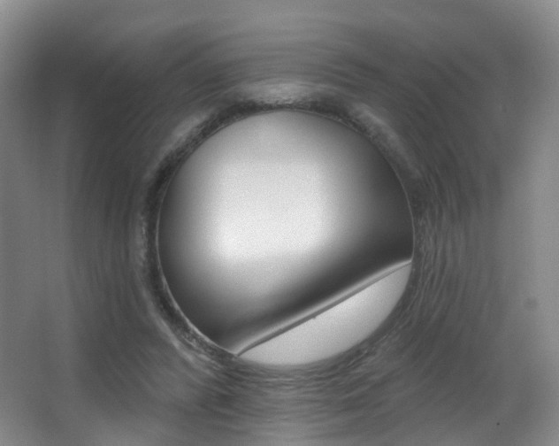 X0000062860400200601130953