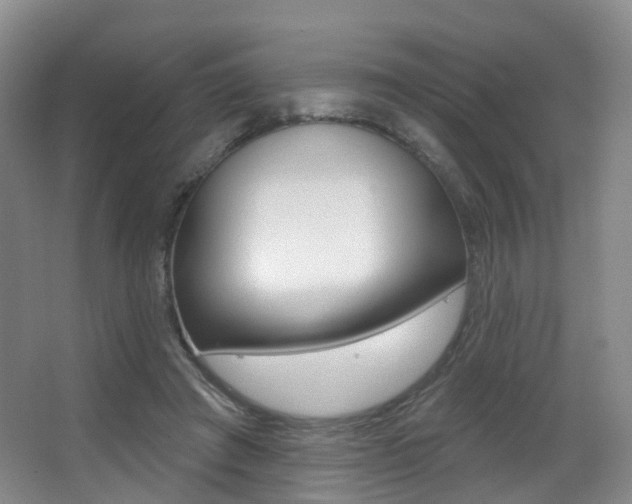X0000062860401200601130953