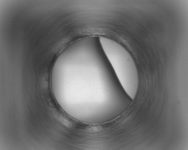 X0000062860402200601130953