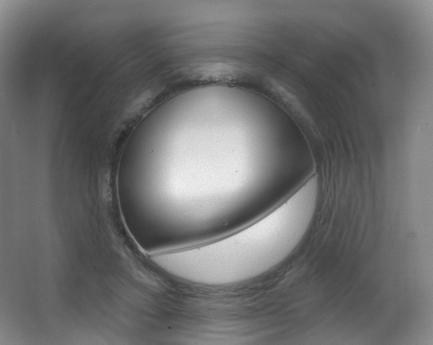X0000062860403200601130953
