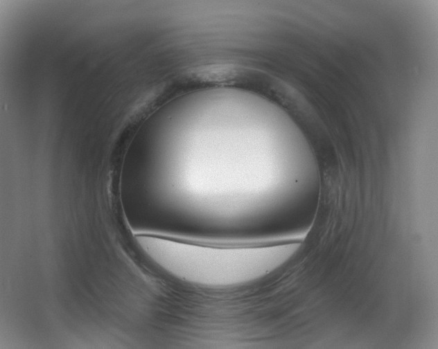X0000062860404200601130953