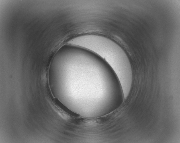 X0000062860405200601130953