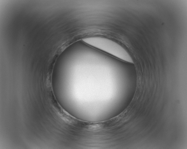 X0000062860411200601130953