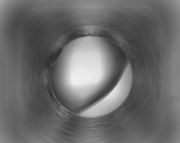 X0000062860413200601130953